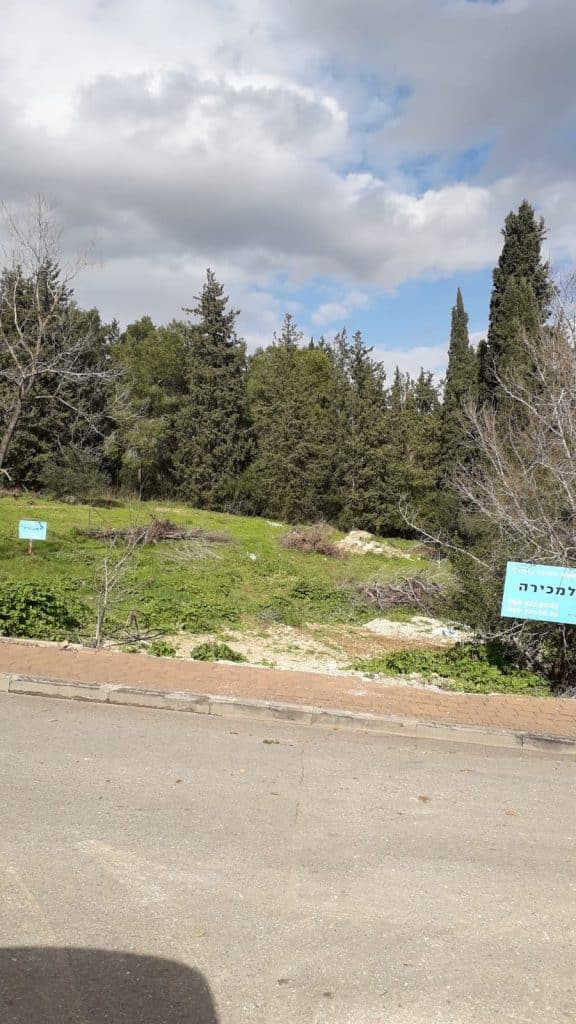 מגרש לפני הפרויקט